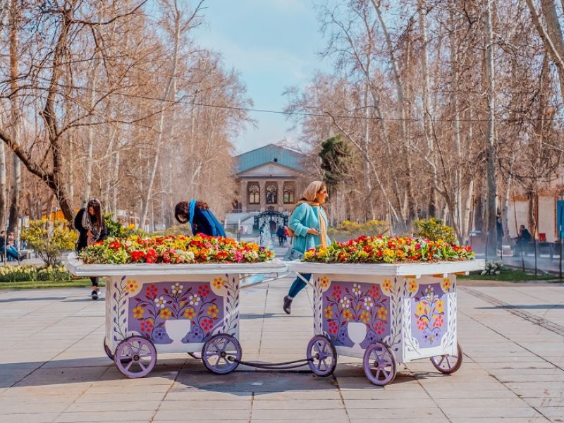 ۶- آموزش زنده ی زبان فارسی برای بزرگسالان T2 <br> دو  جلسه ی یک ساعته در هفته و ۱۸ جلسه در هر ترم ( ۹ هفته)